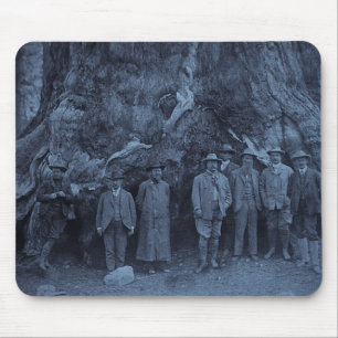 President Roosevelt och John Muir - (Cyan) Musmatta