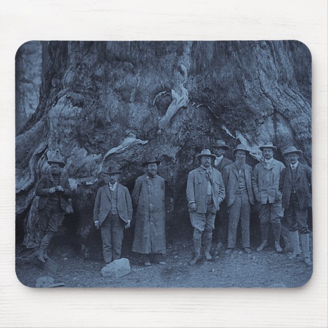 President Roosevelt och John Muir - (Cyan) Musmatta (Framsidan)