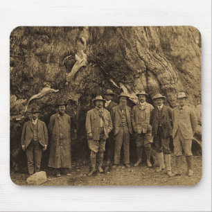 President Roosevelt och John Muir under (Sepia) Musmatta