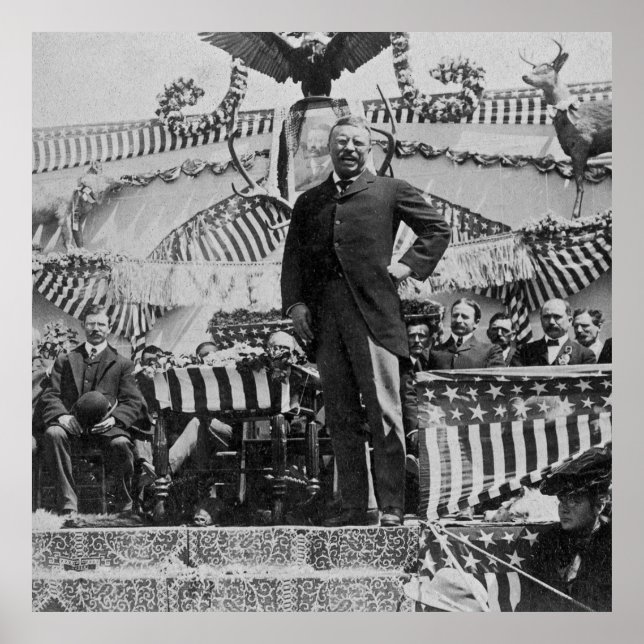 President Teddy Roosevelt i Wyoming 1903 Poster (Framsidan)