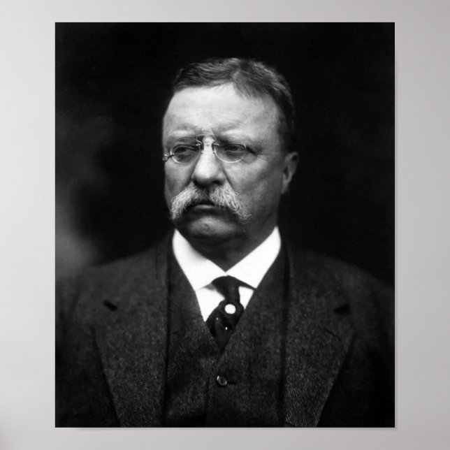 President Teddy Roosevelt Poster (Framsidan)