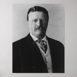 President Theodore Roosevelt - 1904 Poster
