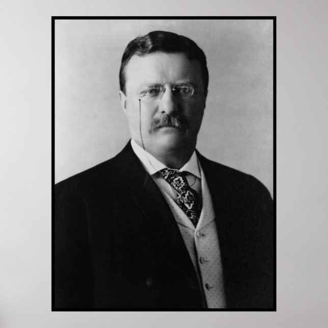 President Theodore Roosevelt Portait Poster (Framsidan)