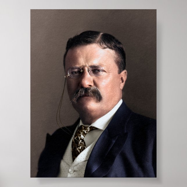 President Theodore Roosevelt Poster (Framsidan)