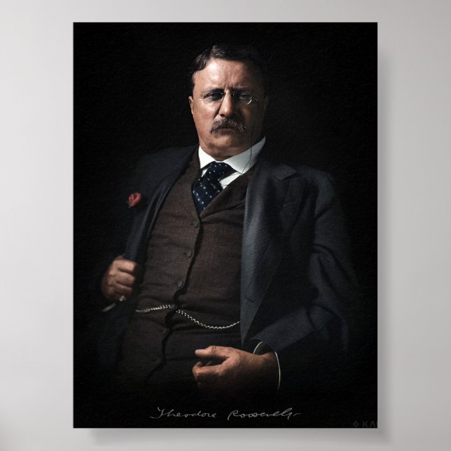 President Theodore Roosevelt Poster (Framsidan)