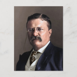 President Theodore Roosevelt Vykort
