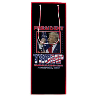 President Trump Inauguration Day