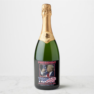 President Trump Inauguration Day