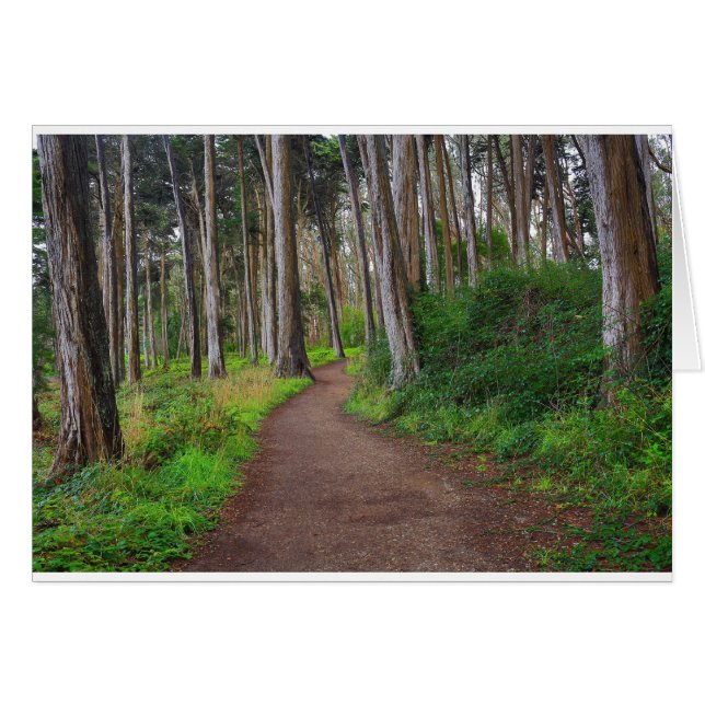 Presidio, SF Hälsningskort (Framsidan Horizontal)