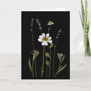 Pressad Blomster Hälsningskort Svart Kort