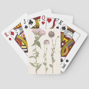 Pressade blodkroppar - Rosa Casinokort