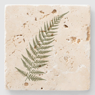 Pressade botaniska fern Löv - Blanda och Match F Underlägg Sten