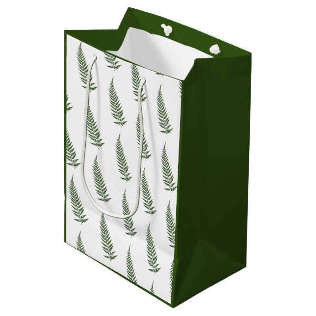 Pressade botaniska fern Löv - Blanda och Match Fär (Framsidan Vinklad)