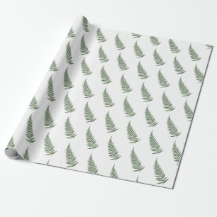 Pressade botaniska fern Löv - Blanda och Match Fär Presentpapper