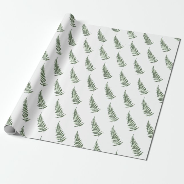 Pressade botaniska fern Löv - Blanda och Match Fär Presentpapper (Utrullad)