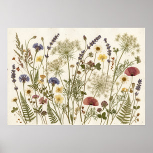 Pressade vildblommor Botanisk Herbarium Konst Poster