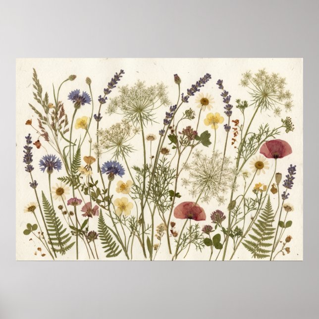 Pressade vildblommor Botanisk Herbarium Konst Poster (Framsidan)