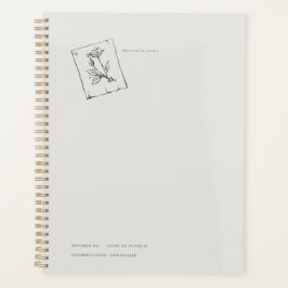 Pressed Rose- Regency Correspondence