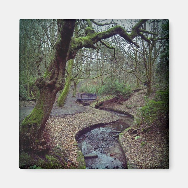 Prestwich Clough Magnet (Framsidan)