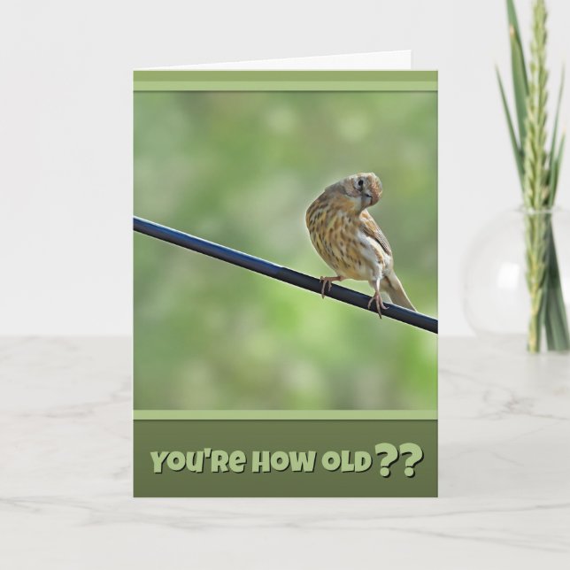 Pretty Cute for An Old Bird Birthday Card Kort (Framsida)