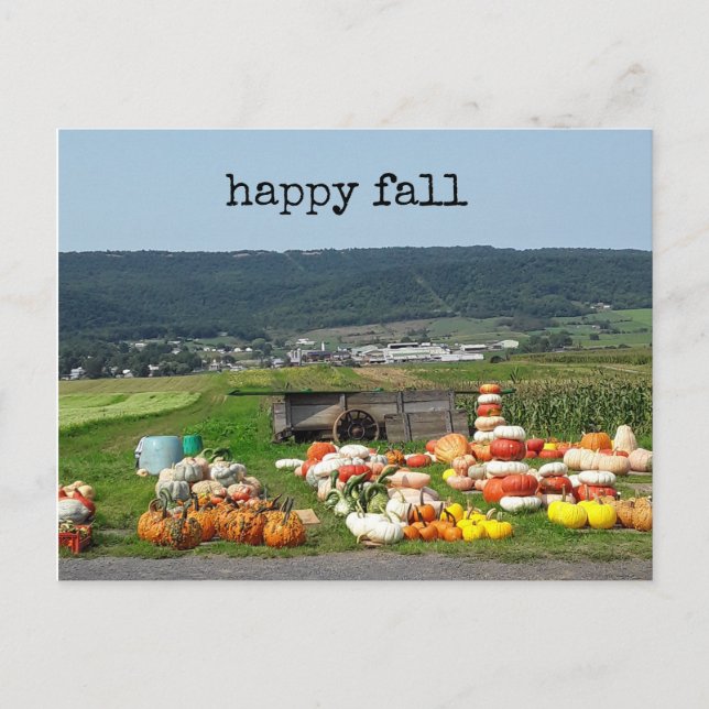 pretty fall pumpkin farm post card vykort (Framsida)