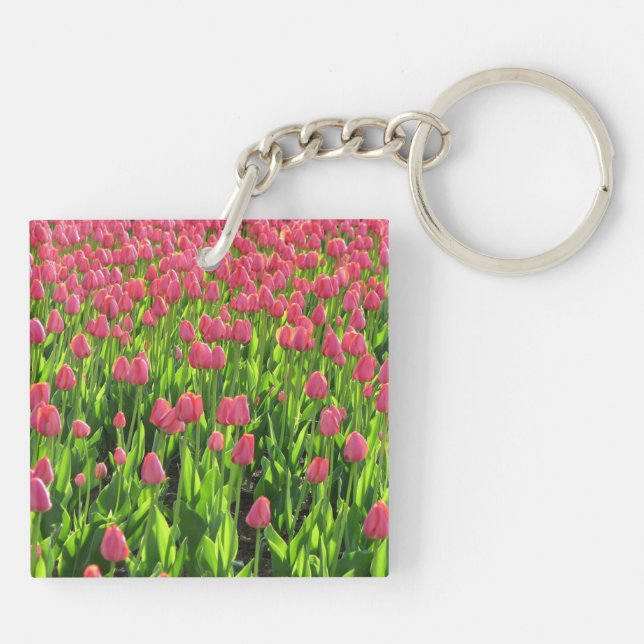 Pretty Field of Pink Tulips (Baksidan)