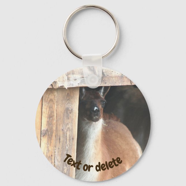 Pretty Llama Farm Animal Personalized Nyckelring (Framsida)