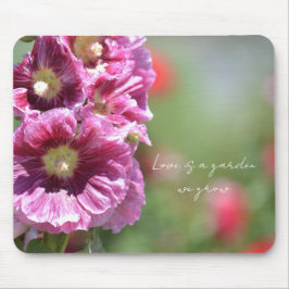 Pretty Pink Hollyhock Flowers Photography   Musmatta