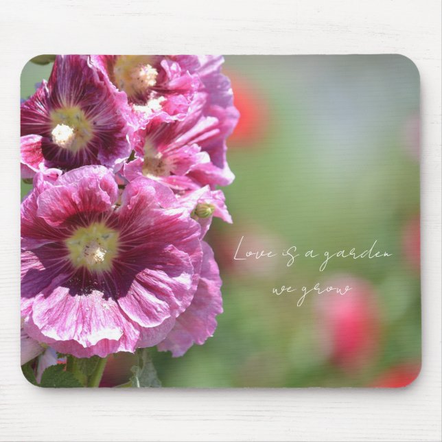 Pretty Pink Hollyhock Flowers Photography   Musmatta (Framsidan)