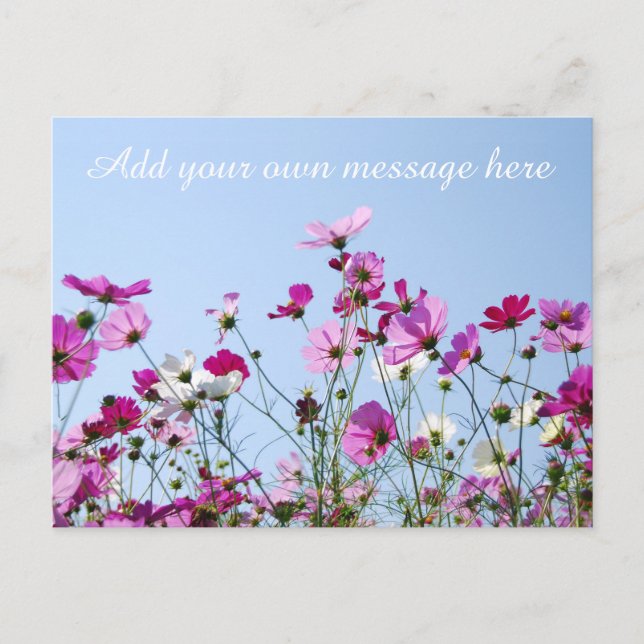 Pretty Pink Meadow Custom Message Vykort (Framsida)