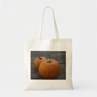 Pretty Plump Pumpkins Tygkasse