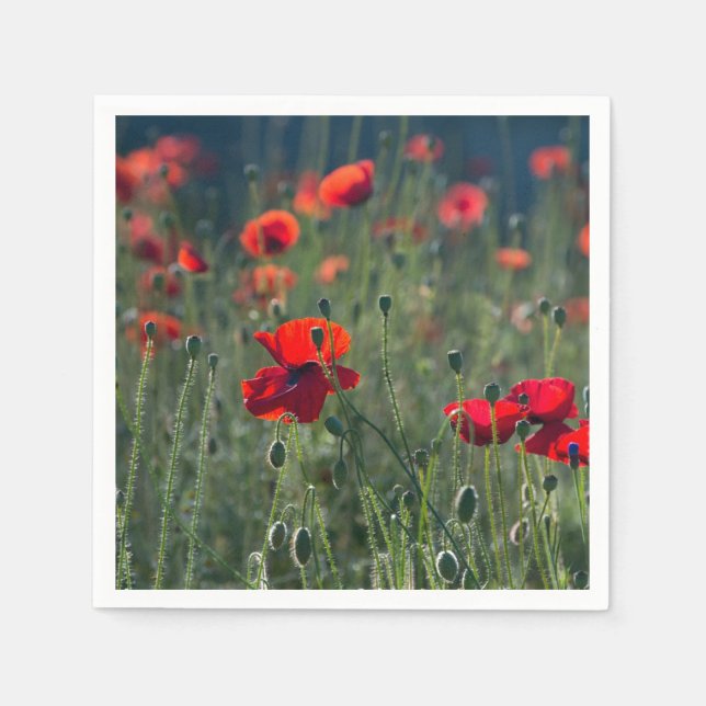 Pretty Poppies in Wild Meadow Photo Pappersservett (Framsidan)