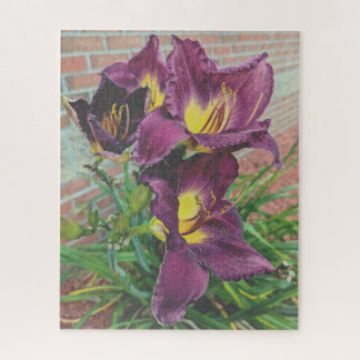 Pretty Purple Burgundy Day Lilies Pussel