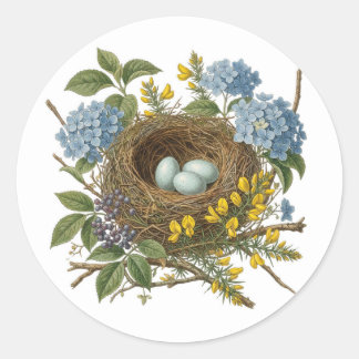 Pretty Vintage Bird Nest Sticker Runt Klistermärke