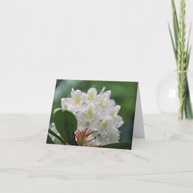 Pretty White Azalea Flower Photography Note Kort (Framsida)