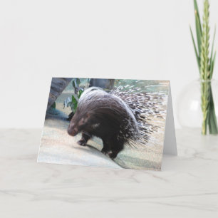 Prickat porcupine-gratulationskort kort