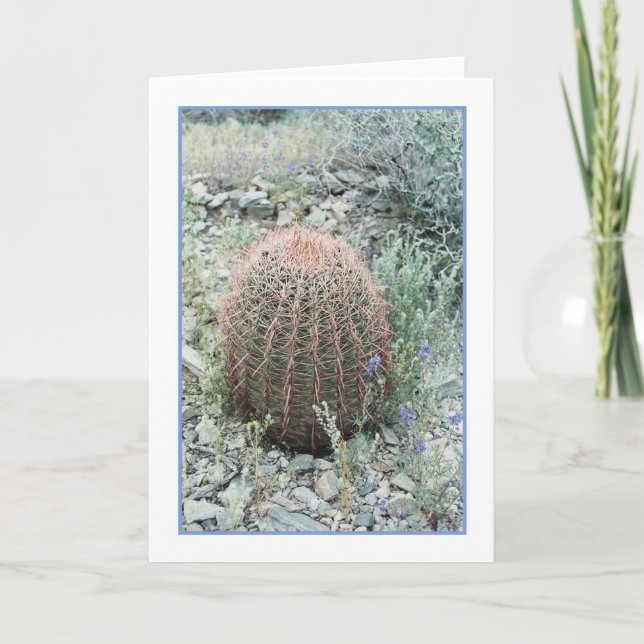 Prickat Rosa Petals Greeting Card Kort (Framsida)