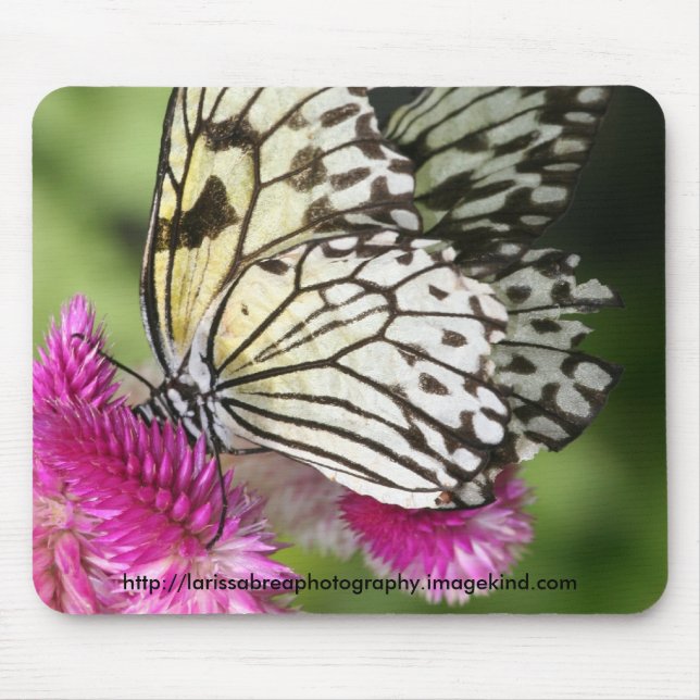 Pricker och rusar I - den skräddarsy musen Musmatta (Framsidan)