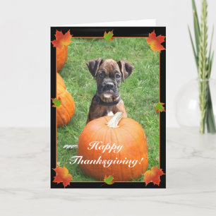 Prickhälsningskort för valpar i happy thanksgiving helgkort