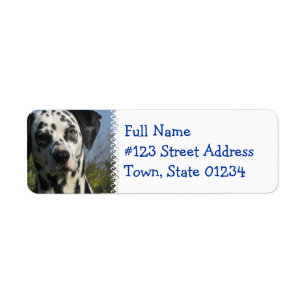 Prickig Dalmatian returadressetikett Returadress Etikett