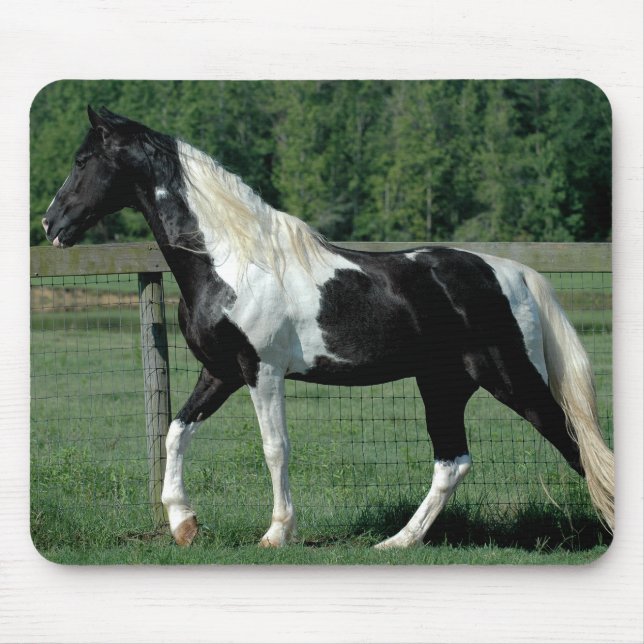 Prickig fotgängare musmatta (Framsidan)