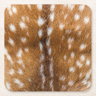 Prickig hjortpälsstruktur underlägg papper kvadrat