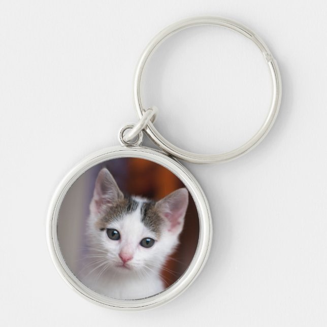 Prickig kattunge för vit rund silverfärgad nyckelring (Framsidan)