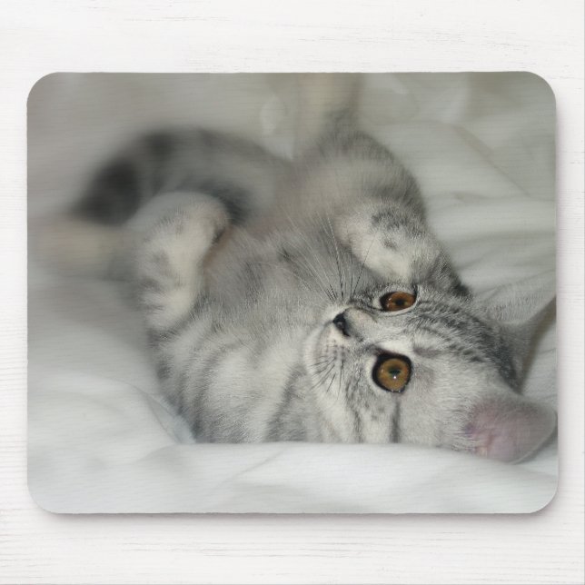 Prickig kattungemousepad för silver musmatta (Framsidan)