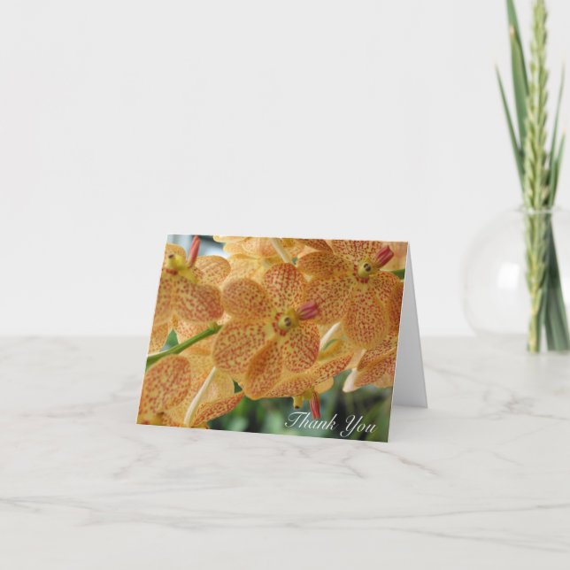 Prickig Orchid för tack (tom insida) (Framsida)