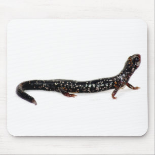 prickig salamander av Nordamerika mousepad Musmatta