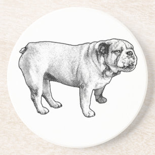 prickig ställning, bulldog underlägg