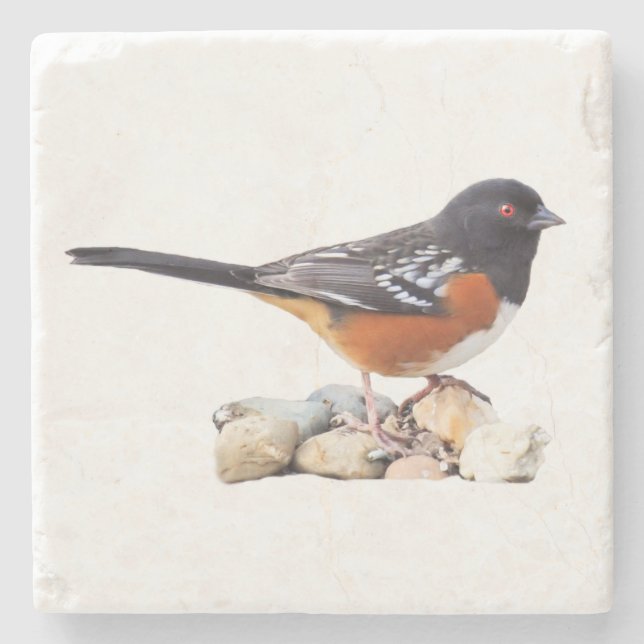 PRICKIG TOWHEE STENUNDERLÄGG (Framsidan)