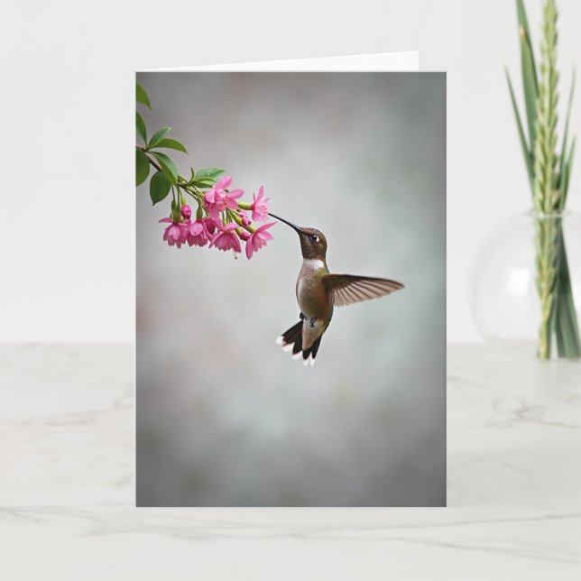 Prickiga Kolibri Blomsterkort Kort (Framsida)