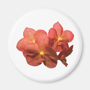 Prickiga orange Orchids Magnet